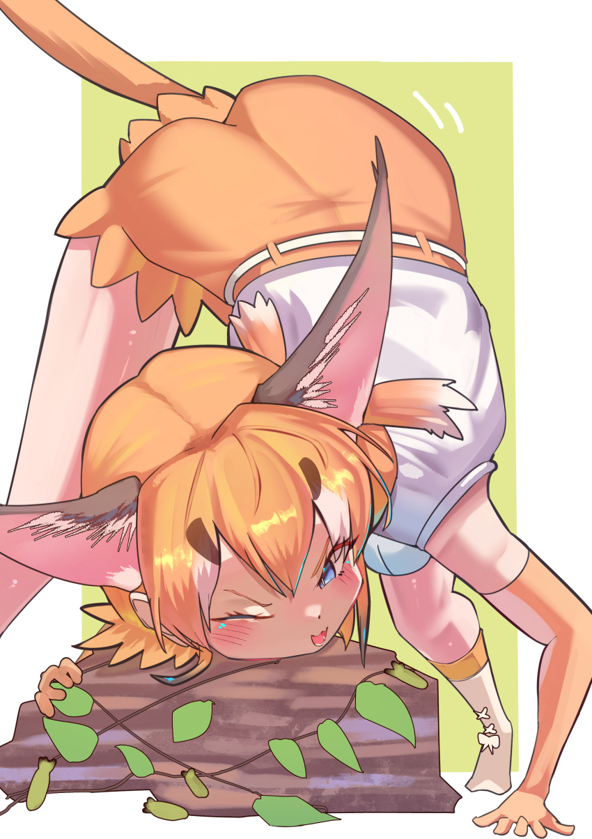 1girl, :3, absurdres, animal_ear_fluff, animal_ears, belt, bent_over, blue_eyes