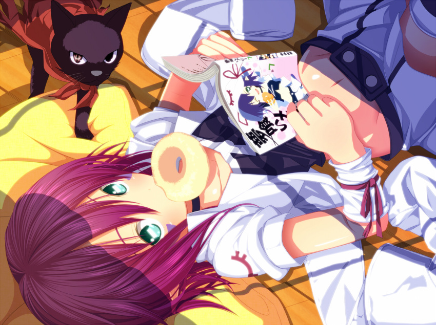 animal, aqua_eyes, book, cat, doughnut, food, green_eyes, john_doe_(yumekui_merry)