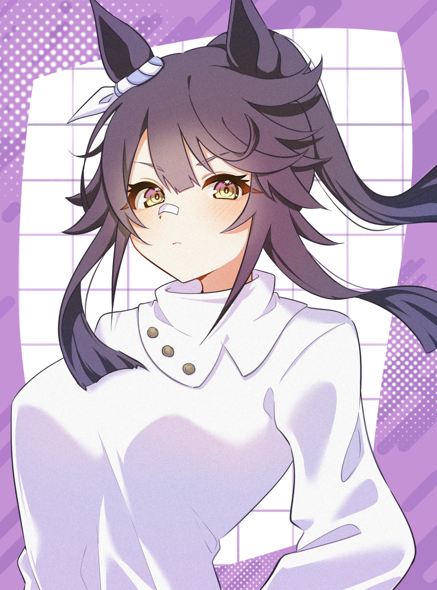 1girl, absurdres, animal_ears, bandaid, bandaid_on_face, bandaid_on_nose, black_hair, blush