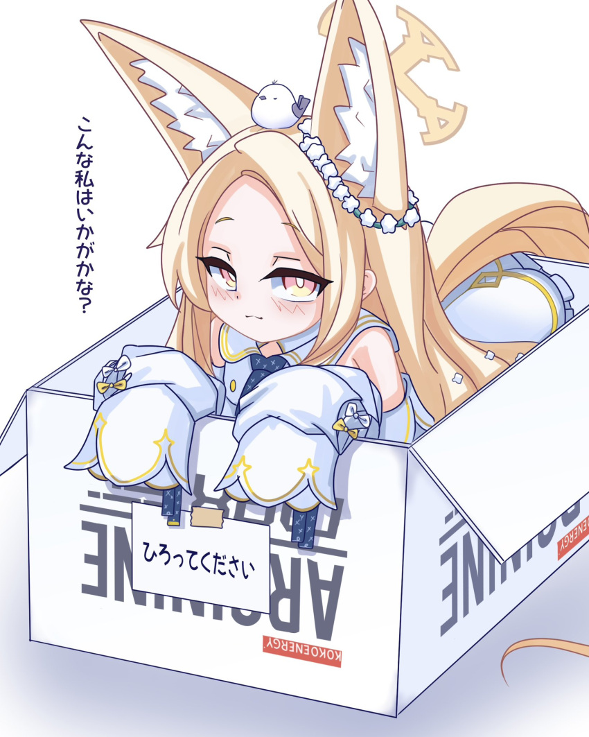 1girl, :3, animal_ear_fluff, animal_ears, animal_on_head, bird, bird_on_head, blonde_hair, blue_archive, blush, box, cardboard_box, commentary, detached_sleeves, extra_ears, for_adoption, forehead, fox_ears, fox_girl, halo, highres, in_box, in_container, long_hair, long_sidelocks, long_sleeves, looking_at_viewer, on_head, orange_eyes, parted_bangs, sangaku_(braxblakinoko), seia_(blue_archive), sidelocks, simple_background, sleeves_past_fingers, sleeves_past_wrists, smile, solo, tit_(bird), translation_request, very_long_sidelocks, white_background, yellow_halo