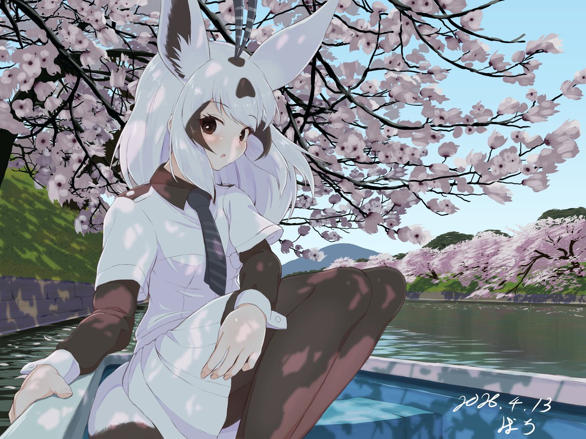 1girl, animal_ears, arabian_oryx_(kemono_friends), baroy_baroro, black_hair, black_necktie, black_pantyhose, black_shirt, blue_necktie, blush, boat, brown_eyes, brown_hair, brown_pantyhose, cherry_blossoms, collared_shirt, commentary_request, day, extra_ears, grey_necktie, kemono_friends, lake, layered_sleeves, long_hair, long_sleeves, looking_at_viewer, multicolored_hair, necktie, outdoors, pantyhose, pleated_skirt, river, shirt, short_over_long_sleeves, short_sleeves, sidelocks, sitting, skirt, solo, striped_clothes, striped_necktie, tail, two-tone_hair, two-tone_shirt, watercraft, white_hair, white_necktie, white_shirt, white_skirt
