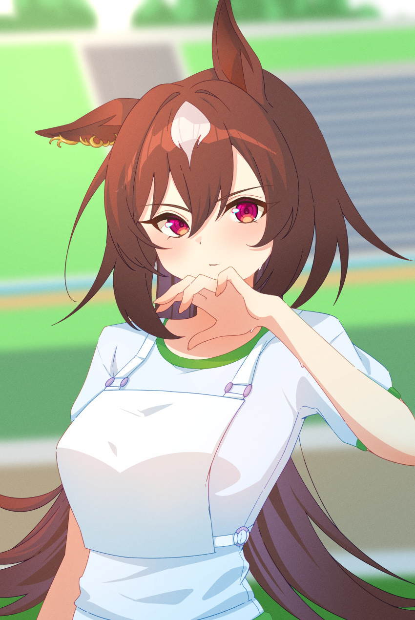 1girl, absurdres, animal_ears, blurry, blurry_background, blush, brown_hair, closed_mouth