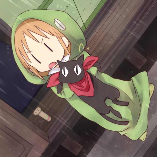 black_cat, black_cat_(animal), cat, cat_ears, child, hakase_(nichijou), holding, hood