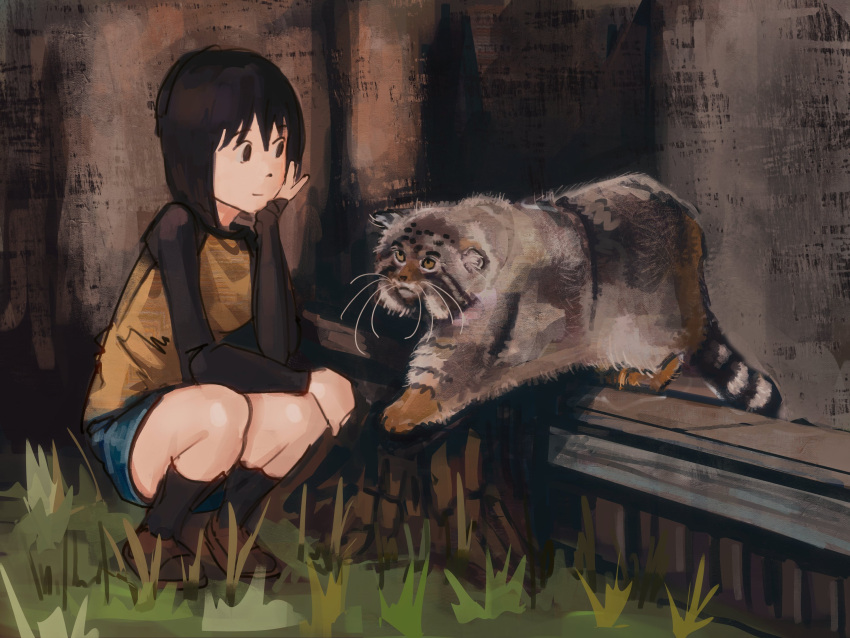 1girl, animal_focus, arm_on_own_leg, bench, black_eyes, black_hair, black_shirt, black_socks
