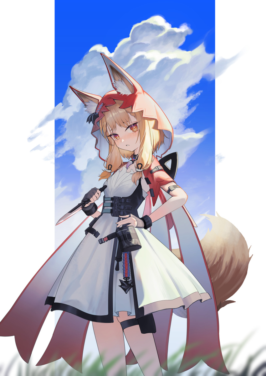 1girl, absurdres, animal_ears, arknights, arknights:_endfield, blonde_hair, blue_sky, clouds