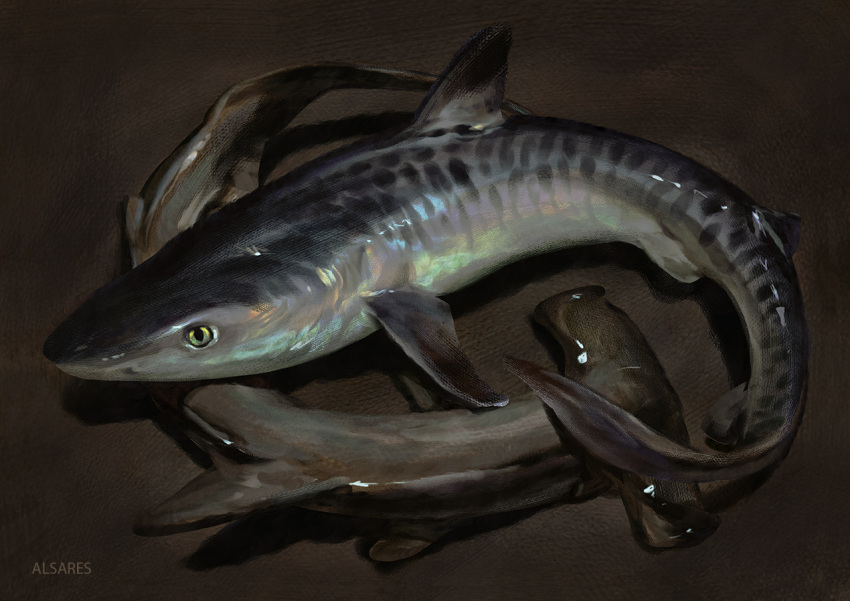 alsareslynx, animal, animal_focus, artist_name, fish, hammerhead_shark, no_humans, original