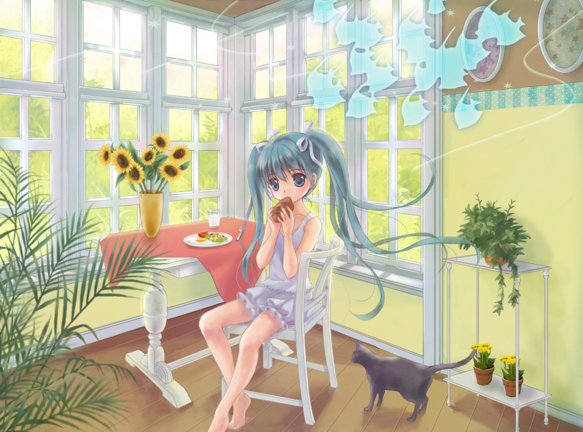 animal, aqua_eyes, aqua_hair, barefoot, cat, chair, eating, flower