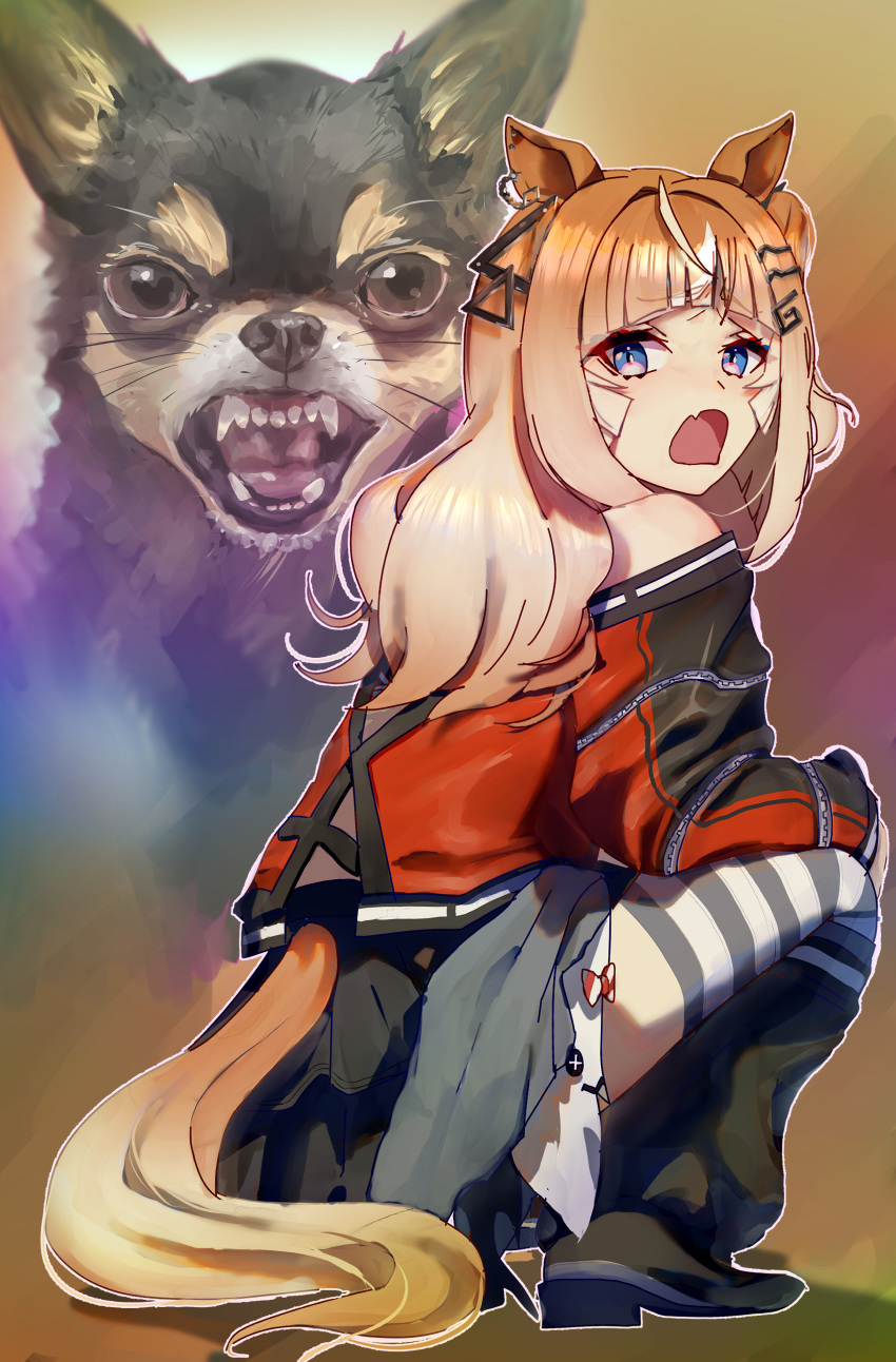 1girl, absurdres, animal_ears, black_shoes, black_skirt, black_socks, blue_eyes, brown_hair