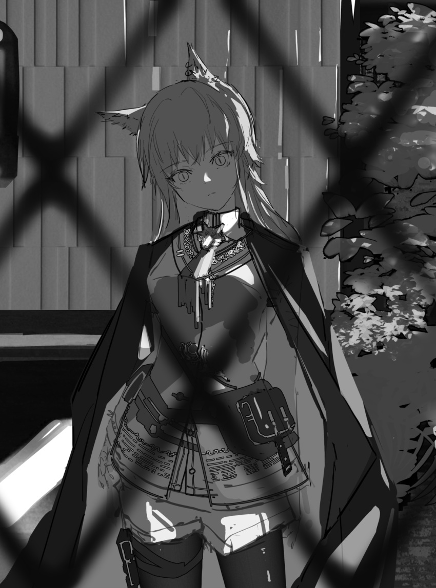 animal_ear_fluff, animal_ears, arknights, closed_mouth, coat, coat_on_shoulders, collared_shirt, commentary_request