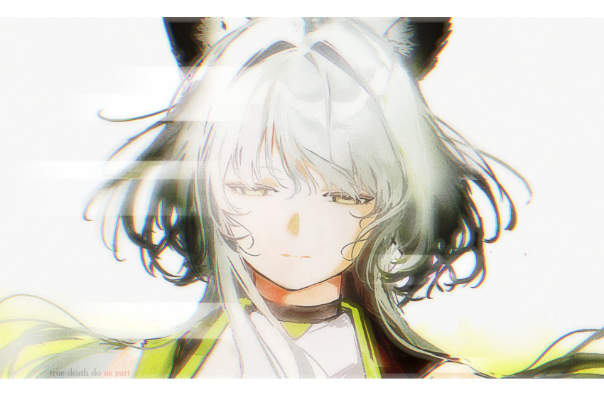 1girl, :|, animal_ears, arknights, breasts, cat_ears, cat_girl, chromatic_aberration, close-up, closed_mouth, commentary, dress, english_text, film_grain, green_eyes, green_hair, hair_intakes, heavy_film_grain, highres, kal'tsit_esperanta_(arknights), medium_breasts, narrowed_eyes, pensive, poursuu, solo, upper_body, white_dress