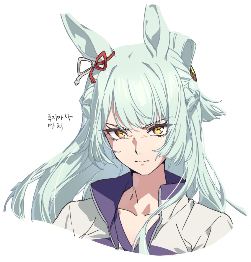 1girl, animal_ears, closed_mouth, collarbone, commentary_request, cropped_shoulders, dolldolldd, ear_ribbon