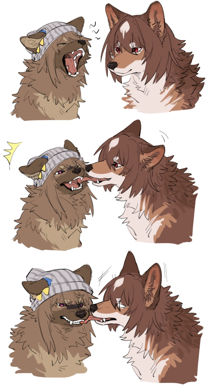 aaasakawa, animal, animal_ear_fluff, animal_focus, animal_with_hair, beanie, biting, biting_another's_tongue