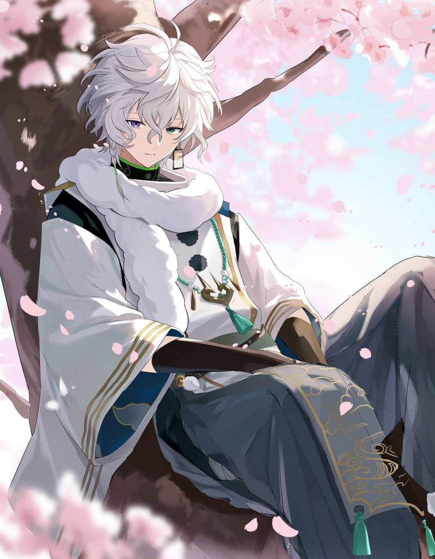 1boy, antenna_hair, bead_necklace, beads, braid, cherry_blossoms, closed_mouth, commentary, earrings, falling_petals, hair_between_eyes, hakama, hakama_pants, heterochromia, highres, in_tree, japanese_clothes, jewelry, light_smile, long_sleeves, looking_at_viewer, male_focus, murakumo_kagetsu, murakumo_kagetsu_(1st_costume), necklace, nijisanji, outdoors, pants, petals, pink_petals, scarf, short_hair, side_braid, single_earring, sitting, sitting_in_tree, solo, tree, tuna27tadano, virtual_youtuber, white_hair, white_scarf, wide_sleeves