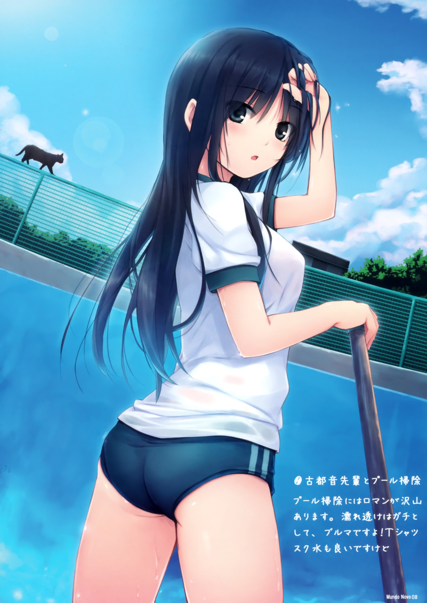 absurdres, ass, black_cat, black_eyes, black_hair, breasts, buruma, cat