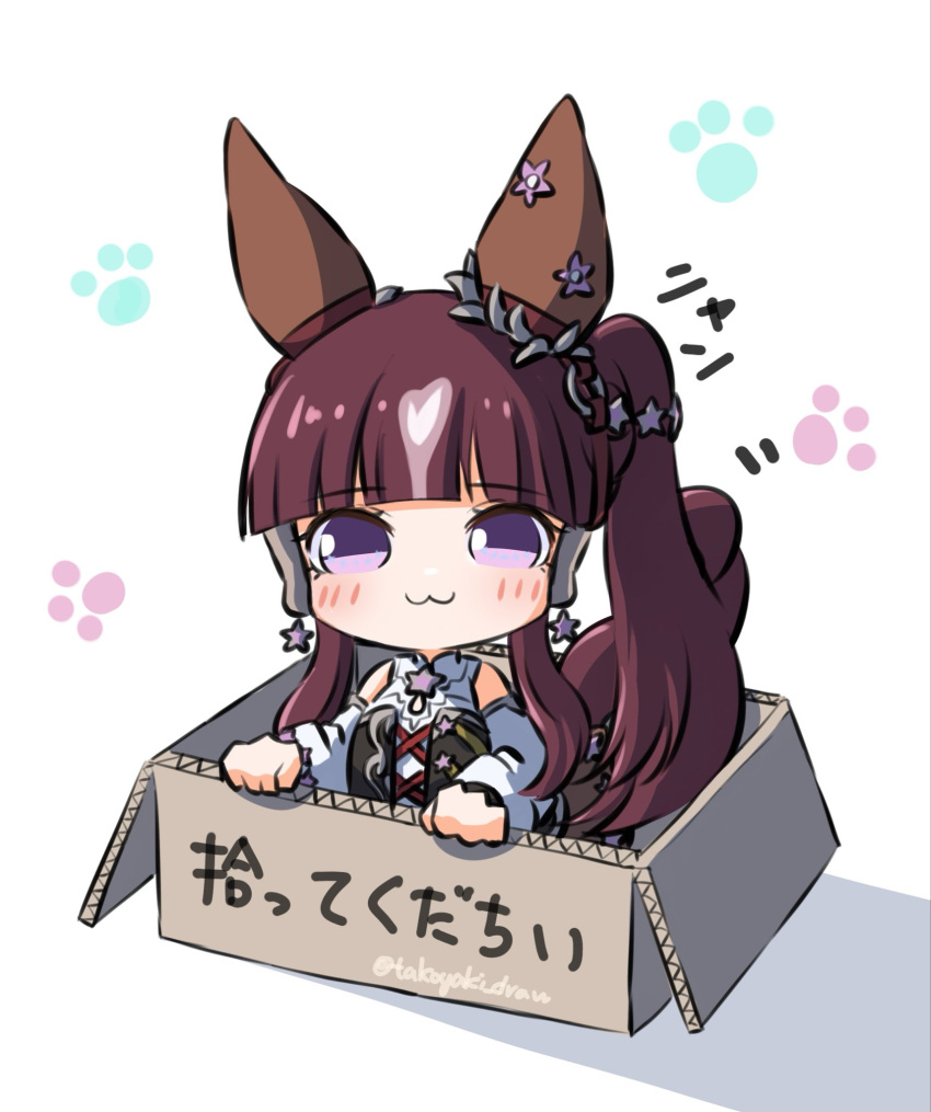 1girl, :3, animal_ears, black_corset, blunt_bangs, blush, box, breasts