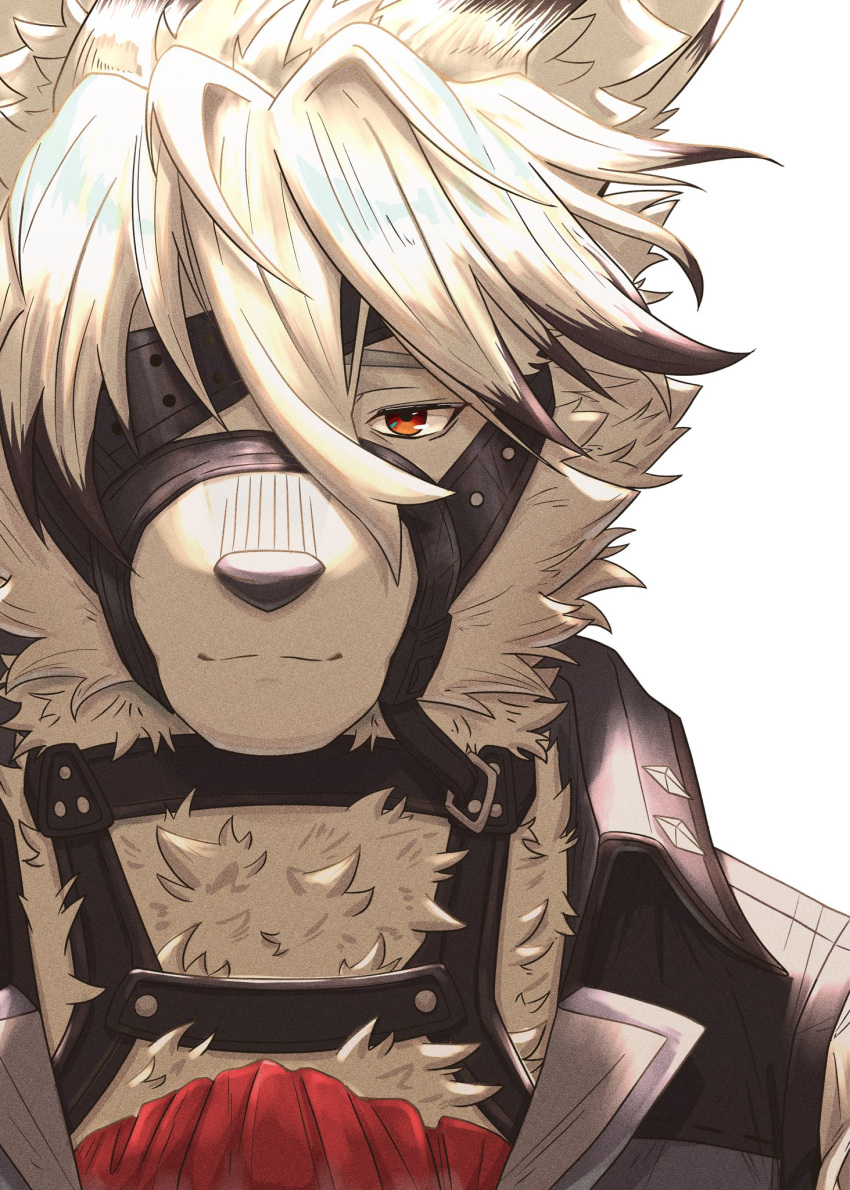1boy, animal_ears, ascot, close-up, closed_mouth, colored_tips, commentary, eichi_doraking
