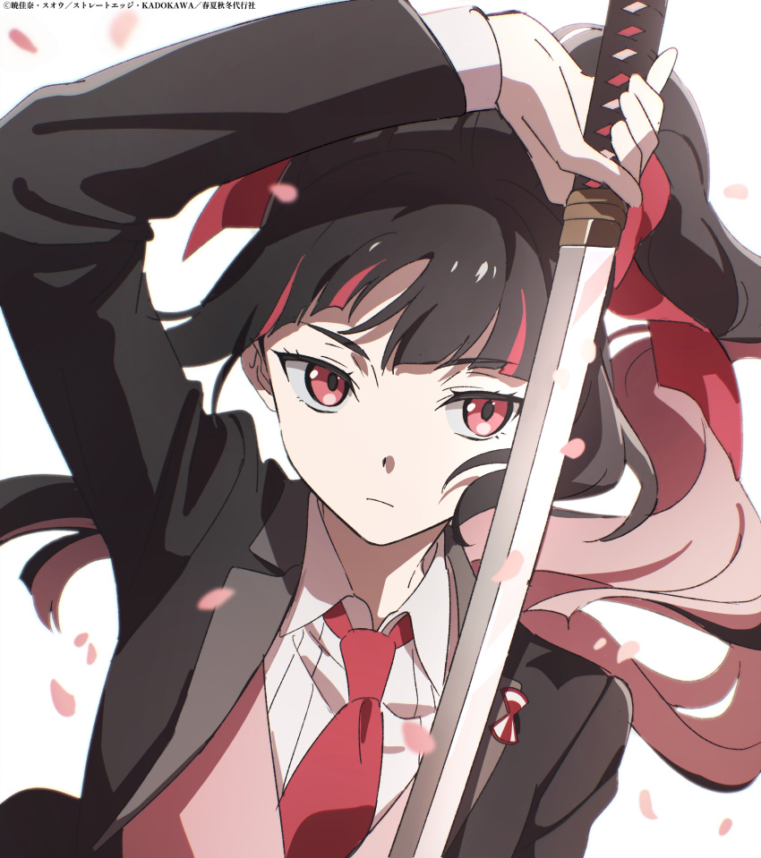1girl, absurdres, black_hair, commentary_request, highres, himedaka_sakura, holding, holding_sword