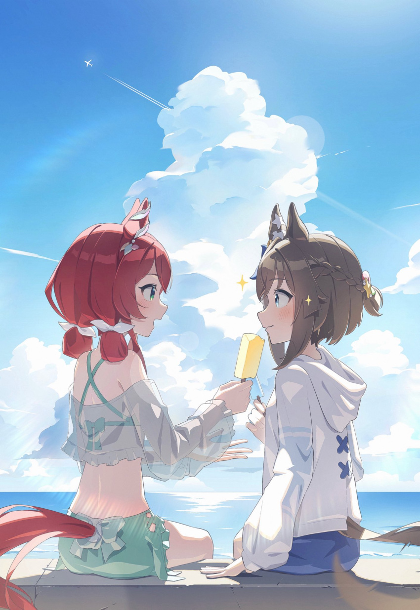 2girls, animal_ears, auklet5580, blue_eyes, blue_sky, braid, brown_hair, cheval_grand_(summer_calm_navy_drop)_(umamusume)