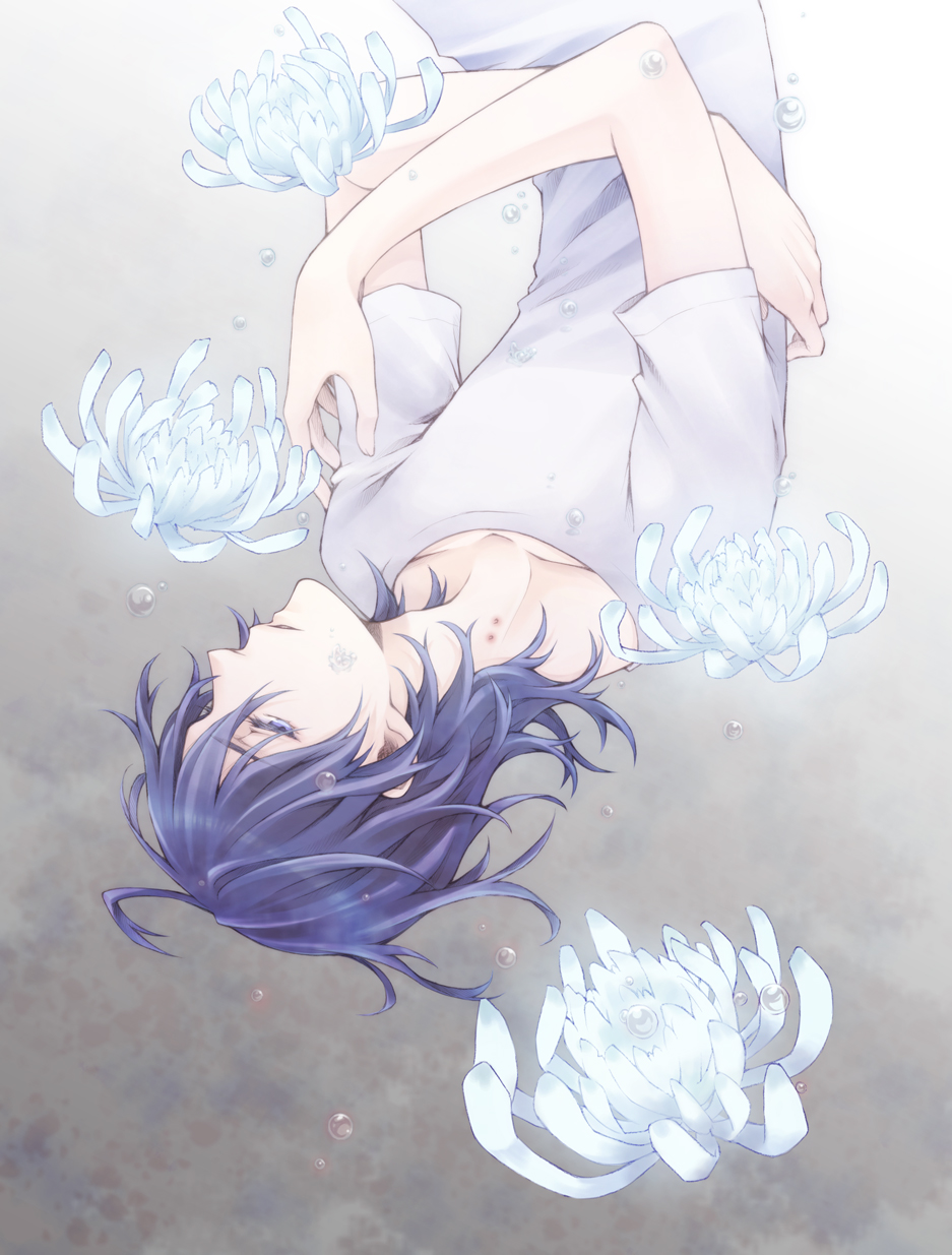 1boy, blue_eyes, blue_hair, chrysanthemum, collarbone, commentary_request, flower, grey_background