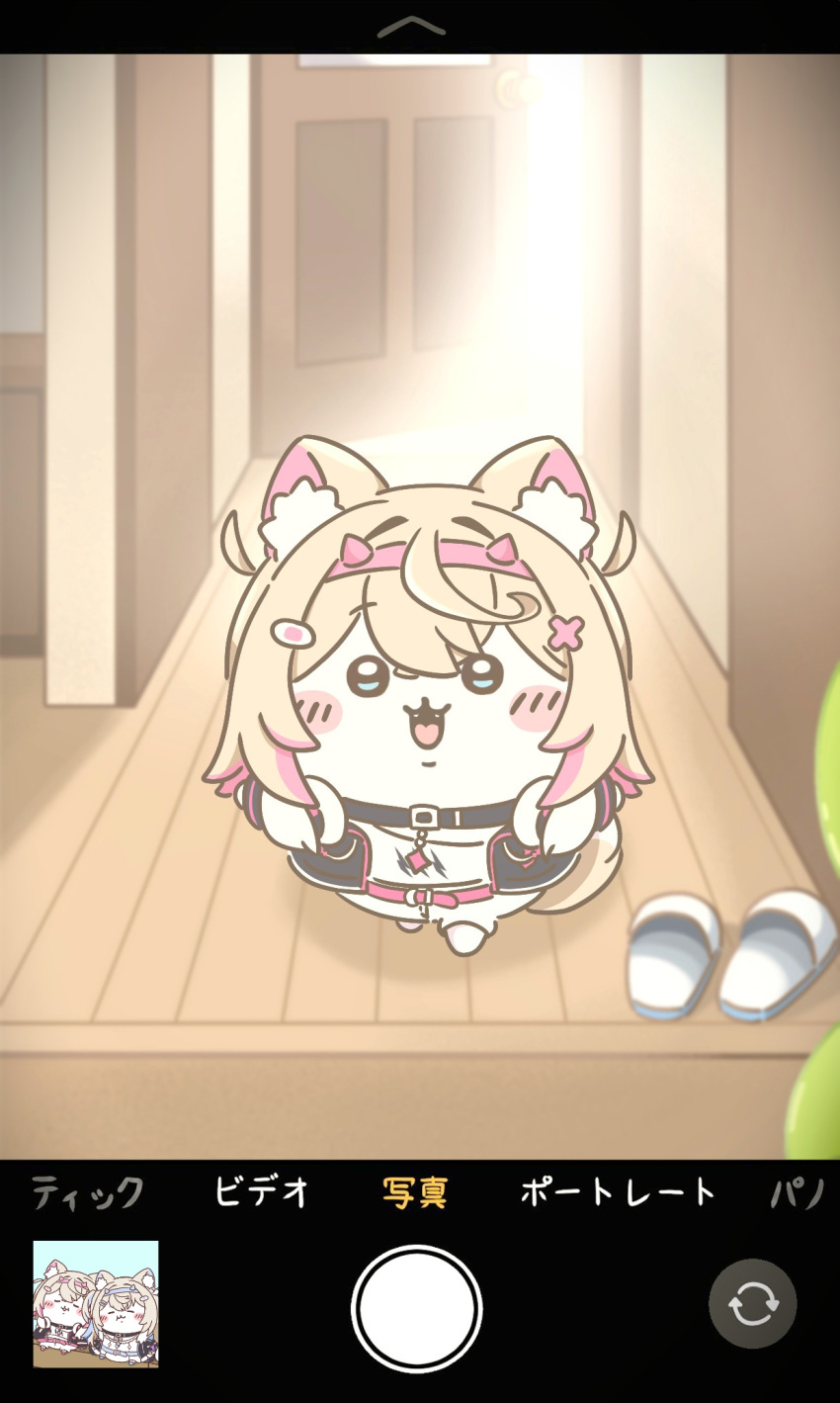 1girl, :3, animal_ear_fluff, animal_ears, apple_anzu, bandaid, bandaid_hair_ornament, belt