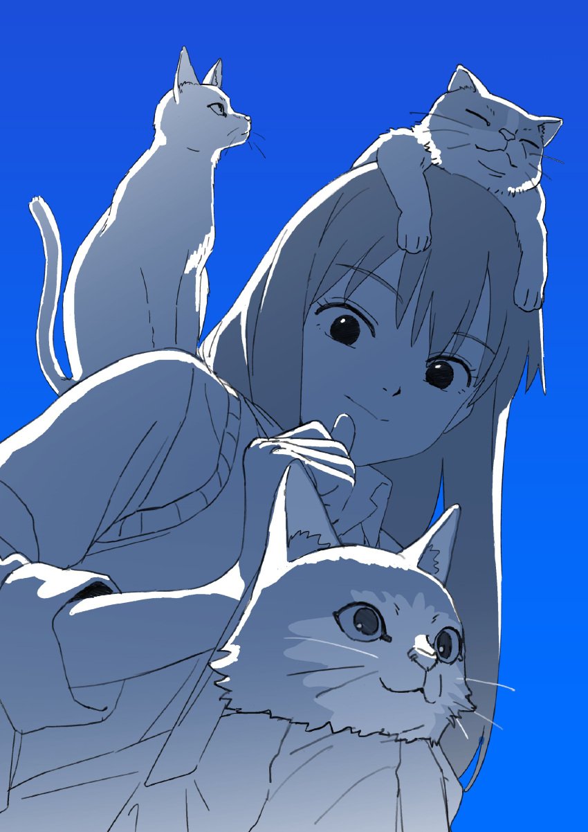 1girl, absurdres, animal, animal_on_head, blue_background, blue_theme, cat, cat_on_head