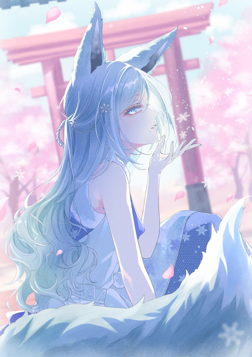 1girl, animal_ears, awanoo, bloom_festival_(project_sekai), blue_dress, blue_eyes, blue_hair, blurry