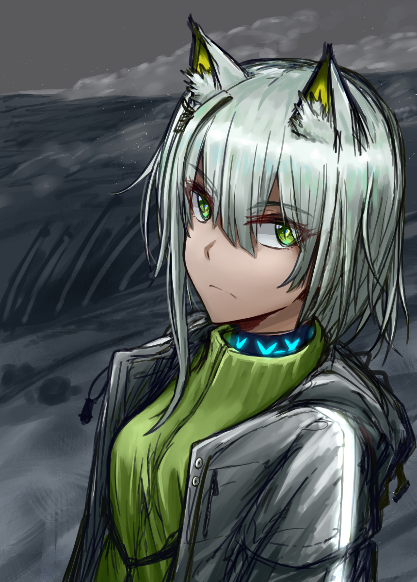 1girl, animal_ear_fluff, animal_ears, arknights, breasts, cat_ears, cat_girl, closed_mouth