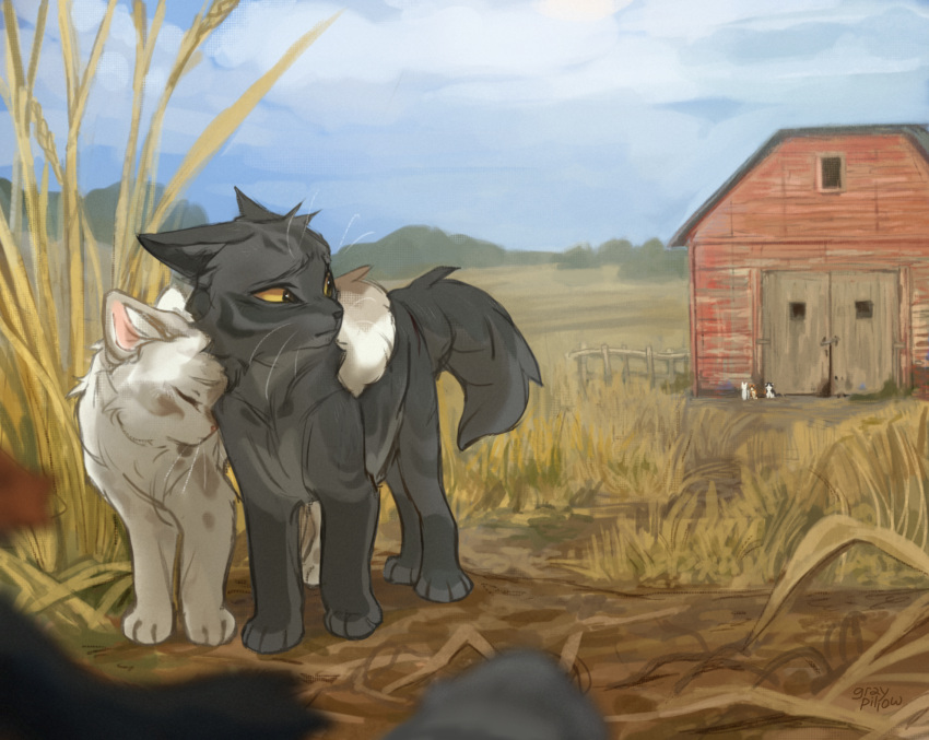 a_vision_of_shadows, animal, animal_couple, animal_focus, artist_name, barley_(warrior_cats), barn, blossomheart