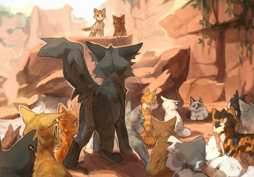 animal, animal_focus, blossomheart, brown_cat, canon_event, cat, cat_loaf, character_request, check_character, cherrytail, commentary, darktail, echosong, english_commentary, everyone, eye_contact, firefern, graypillow, grey_cat, hawkwing, highres, in-universe_location, leafstar, looking_at_another, no_humans, orange_cat, outdoors, pebbleshine, plant, rock, sharpclaw, sitting, story_in_commentary, tabby_cat, tortico_cat, tortoiseshell_cat, vines, warrior_cats, whiskers, white_cat