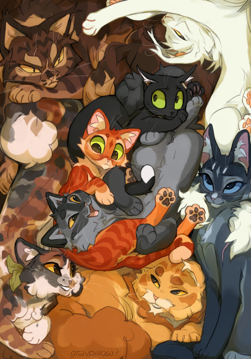 animal, animal_focus, black_cat, blue_cat, blue_eyes, bluestar_(warrior_cats), brown_cat, cat