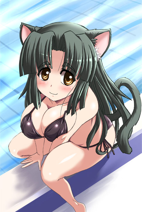 bikini, black_hair, blush, breasts, brown_eyes, cat_ears, cat_tail, cleavage, face, green_hair, long_hair, milk_(tongpoo), original, pool, poolside, sitting, swimsuit, tail, tongpoo, tonpuu