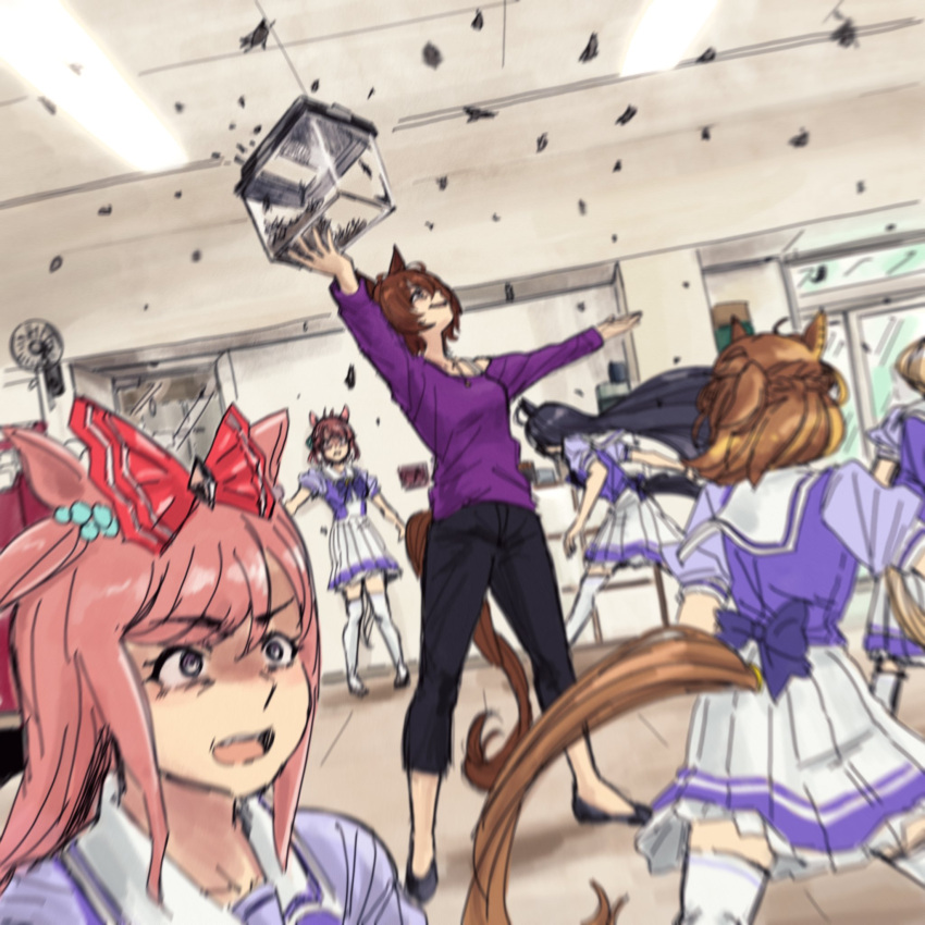 agnes_digital_(umamusume), agnes_tachyon_(casual)_(umamusume), agnes_tachyon_(umamusume), animal_ears, bug, dantsu_flame_(umamusume), fly, hair_ornament