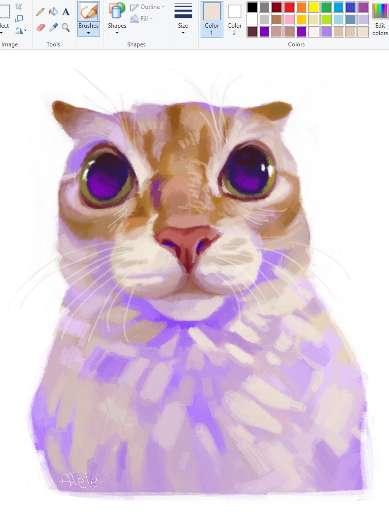 alwaysalele, animal, animal_focus, cat, dilated_pupils, fluffy, green_eyes, hue_shifting