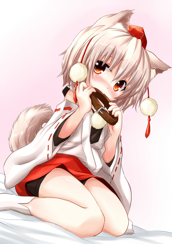 animal_ears, biting, blush, collar, detached_sleeves, hat, inubashiri_momiji, inyu