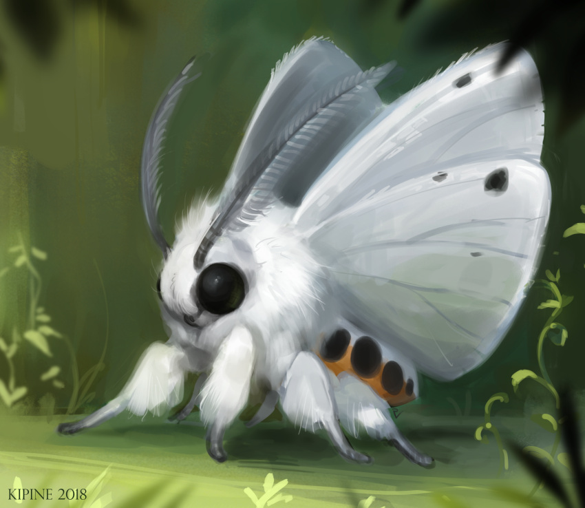 animal, animal_focus, antennae, black_eyes, bug, commentary, dated, english_commentary