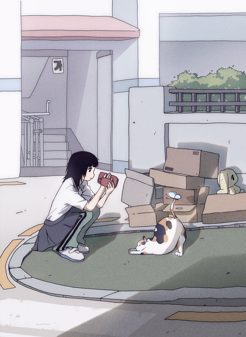 1girl, animal, black_hair, box, bug, butterfly, camcorder, cardboard_box