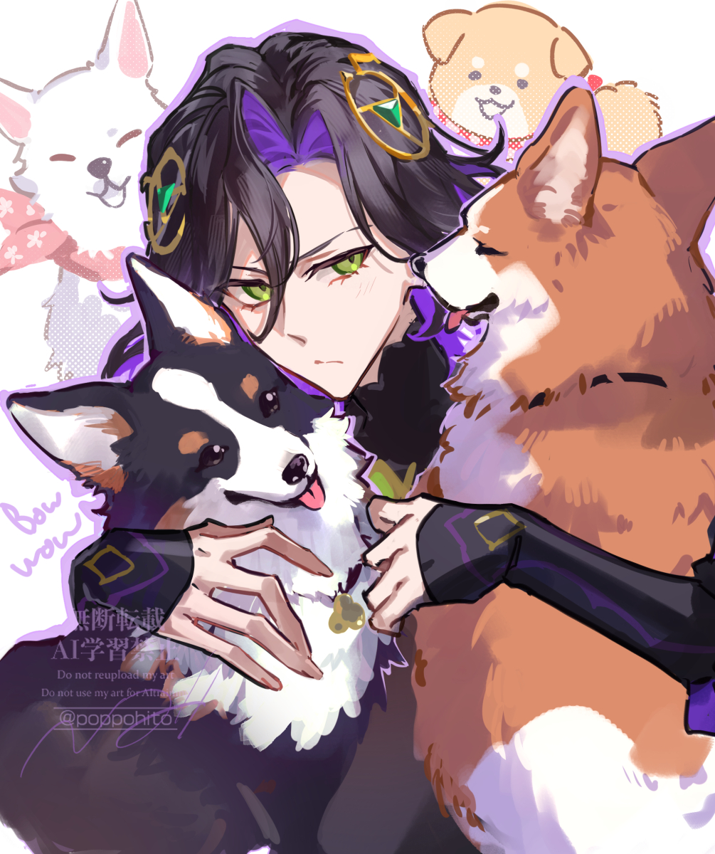 1boy, black_hair, colored_inner_hair, dog, fate/grand_order, fate_(series), green_eyes, green_hair