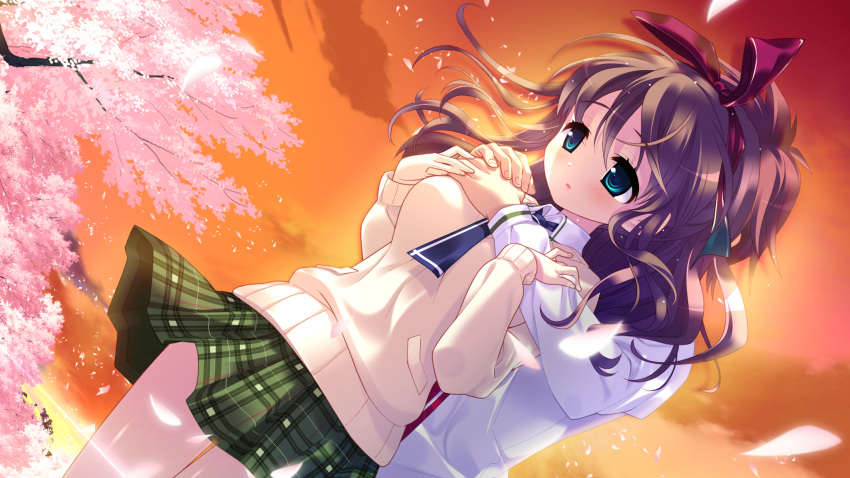 blue_eyes, brown_hair, game_cg, hamashima_shigeo, hanamadoka_shino, petals, pochi_to_goshujin-sama, seifuku