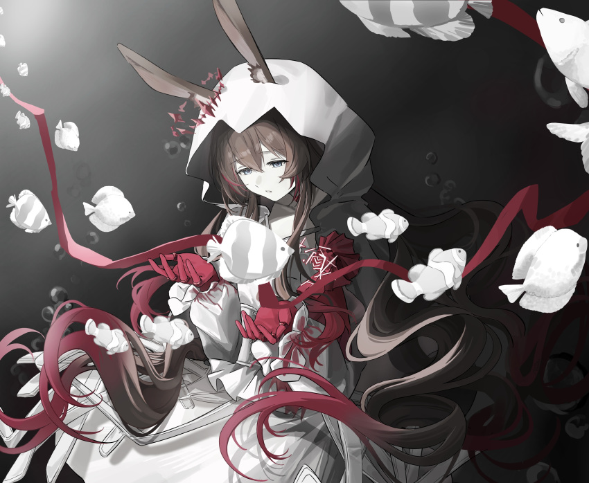 1girl, absurdres, alice_(alesssu), amiya_(arknights), amiya_(medic)_(arknights), amiya_(medic)_(the_unbounded_folio)_(arknights), animal, animal_ear_fluff, animal_ears, arknights, black_background, blue_eyes, brown_hair, clownfish, commentary_request, dress, ears_through_headwear, expressionless, fish, gloves, hair_between_eyes, harper's_bazaar, highres, hood, hood_up, long_hair, long_sleeves, looking_at_viewer, official_alternate_costume, parted_lips, rabbit_ears, rabbit_girl, red_gloves, solo, white_dress