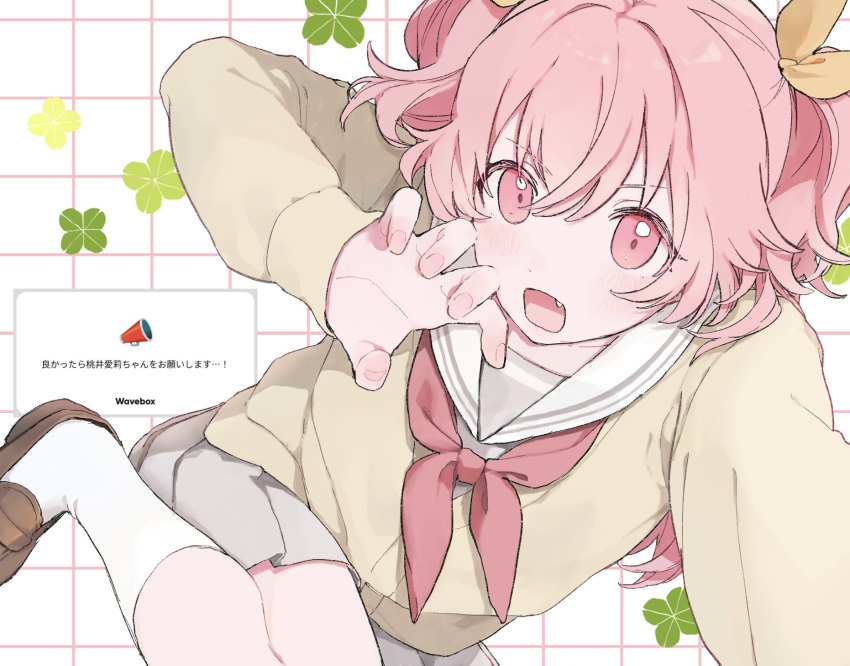 1girl, awahahahe, blush, brown_shoes, cardigan, clover, dot_nose, fan_request, fang, four-leaf_clover, grey_serafuku, grey_shirt, grey_skirt, grid_background, hair_between_eyes, hair_ribbon, highres, kneehighs, loafers, long_hair, long_sleeves, looking_at_viewer, miyamasuzaka_girls'_academy_school_uniform, momoi_airi, neckerchief, open_mouth, pink_eyes, pink_hair, pleated_skirt, project_sekai, red_neckerchief, request_inset, ribbon, sailor_collar, school_uniform, screenshot_inset, selfie, serafuku, shirt, shoes, sidelocks, single_claw_pose, skirt, socks, solo, translation_request, two_side_up, wavebox, white_sailor_collar, white_socks, yellow_cardigan, yellow_ribbon