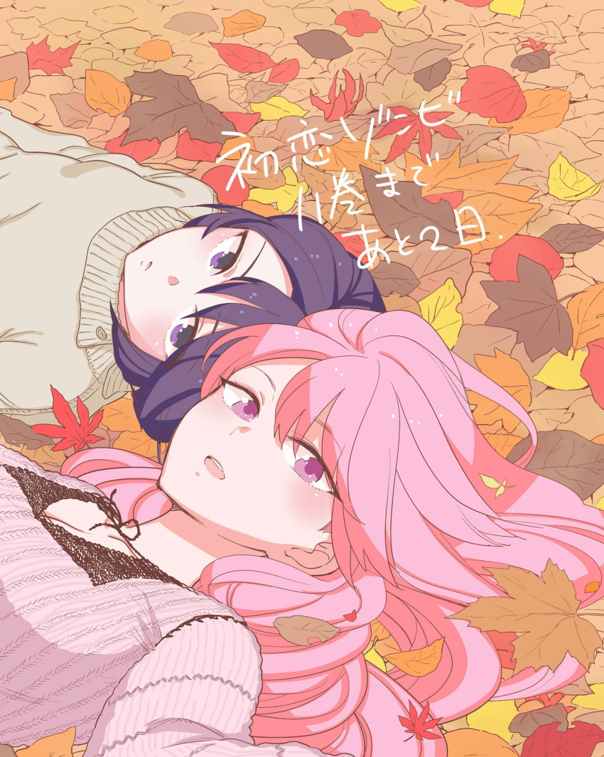 2girls, autumn, autumn_leaves, breasts, commentary_request, copyright_name, eve_(hatsukoi_zombie), hatsukoi_zombie, highres, ibusuki_ririto, large_breasts, leaf, long_hair, long_sleeves, looking_at_viewer, lying, maple_leaf, minenami_ryou, multiple_girls, official_art, on_back, open_mouth, pink_eyes, pink_hair, pink_sweater, purple_hair, short_hair, sweater, teeth, upper_teeth_only, violet_eyes