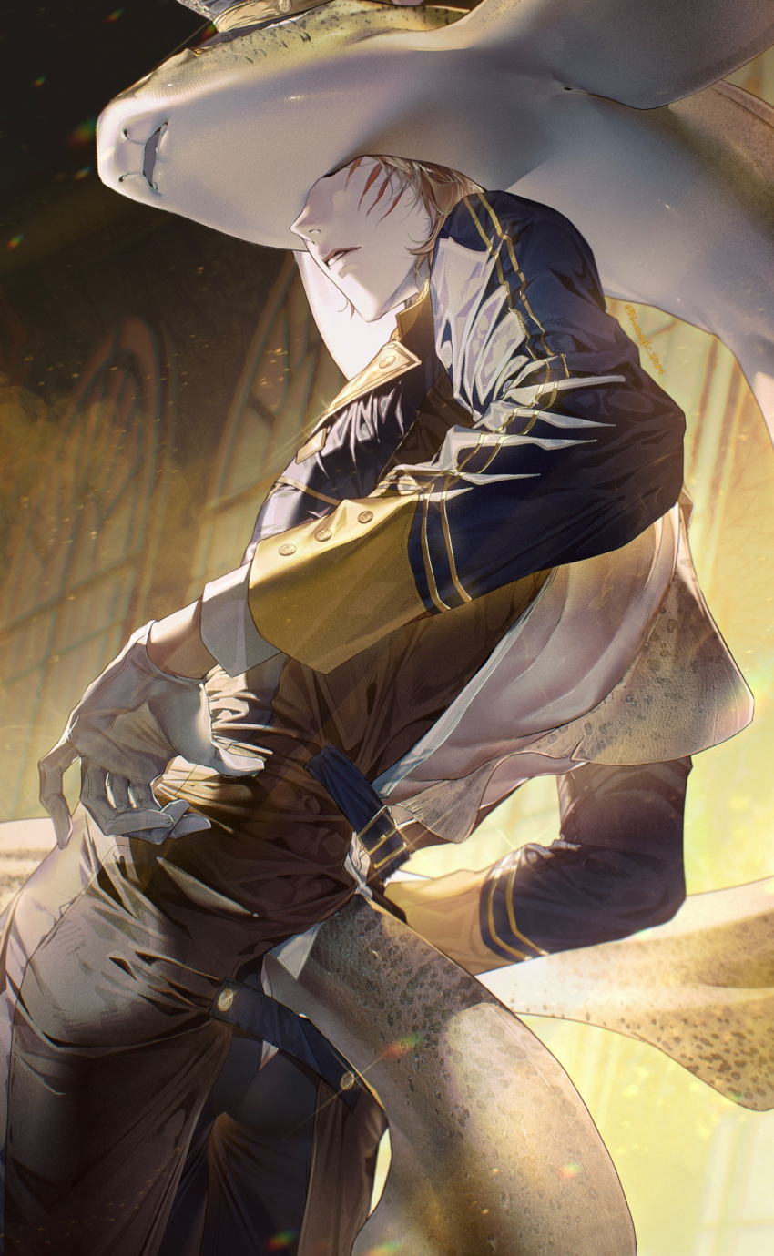 1boy, backless_outfit, blue_jacket, blue_pants, commentary_request, cuso4_suiwabutu, fins, fish_tail