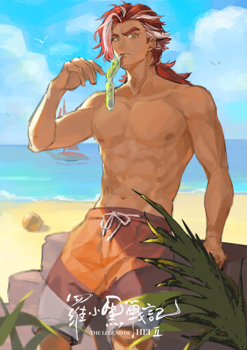 1boy, abs, absurdres, beach, chinian, day, highres, long_hair