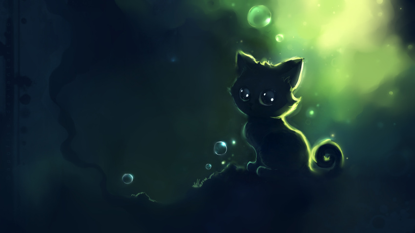 animal, apofiss, bubbles, cat, dark