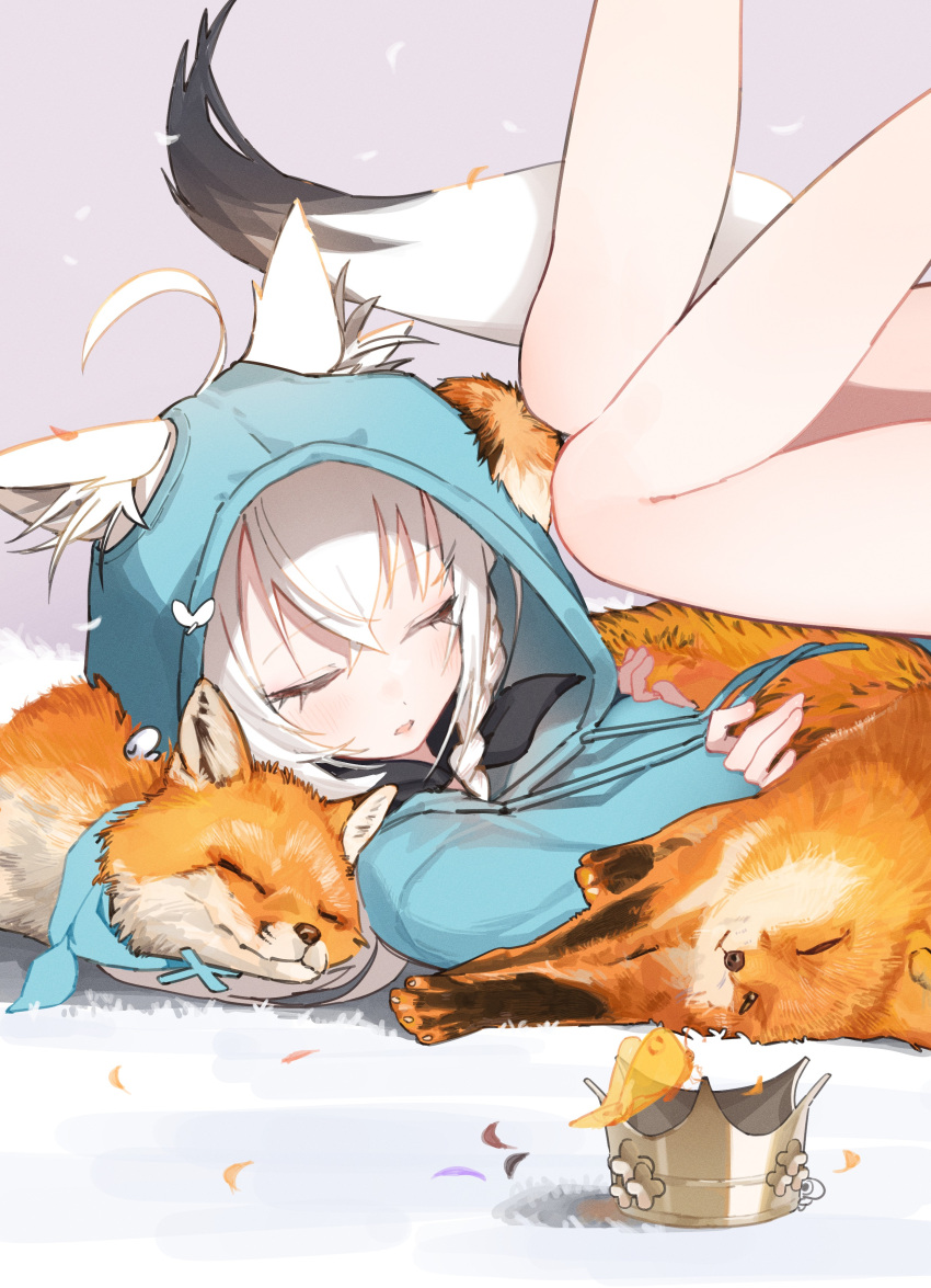 1girl, absurdres, ahoge, animal_ears, blue_hoodie, braid, bug, butterfly