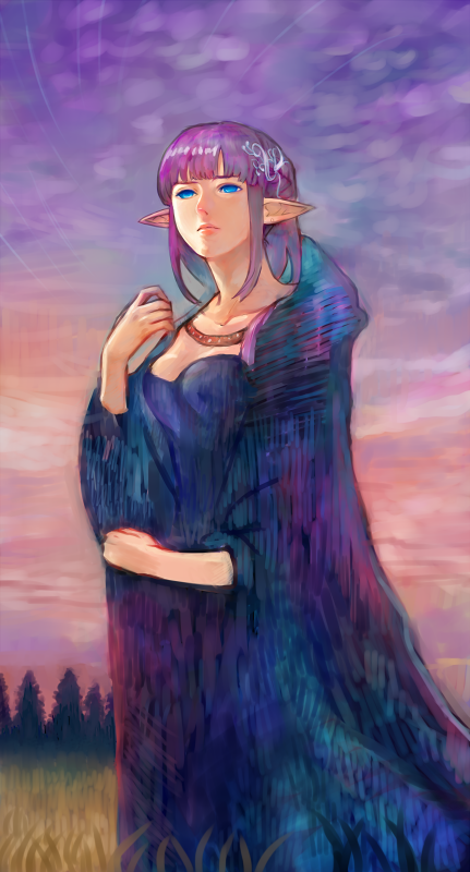 blue_eyes, castanea, elf, hair_ornament, mabinogi, pointy_ears, purple_hair, robe, short_hair