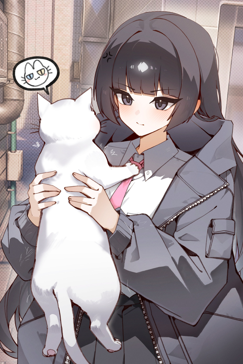 absurdres, animal, black_eyes, black_hair, black_jacket, black_shirt, cat, closed_mouth