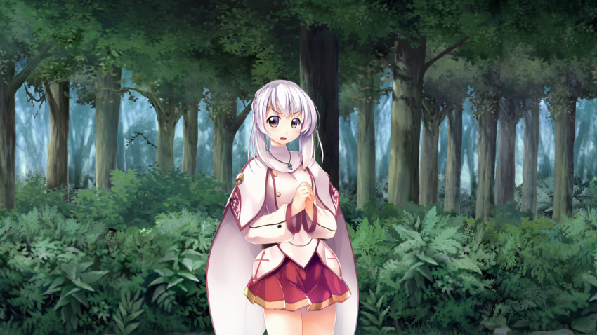 1girl, atelier-moo, belt, braid, braided_bun, breasts, brown_eyes, capelet