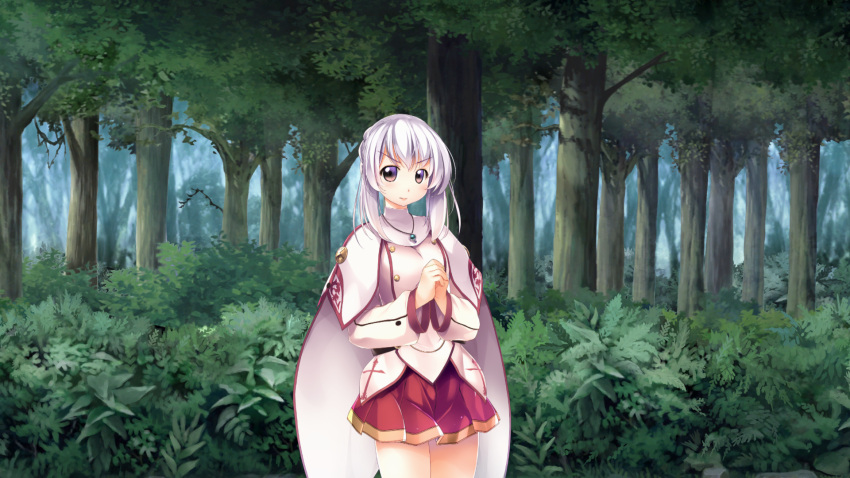 1girl, atelier-moo, belt, braid, braided_bun, breasts, brown_eyes, capelet
