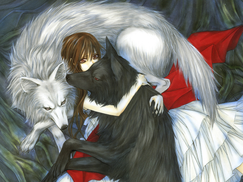 animal, brown_hair, cross_yuuki, dress, hino_matsuri, long_hair, vampire, vampire_knight, wolf, yuuki_kuran